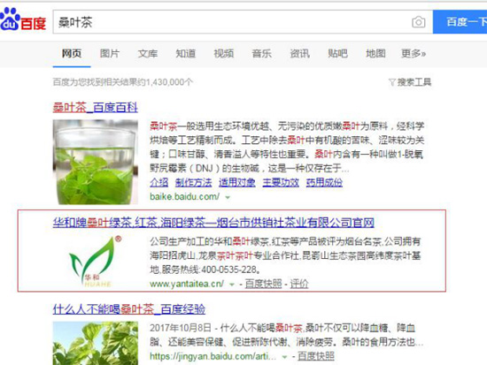 桑叶茶关键词SEO优化案例