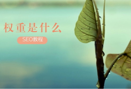 什么是网站权重? 有什么作用?