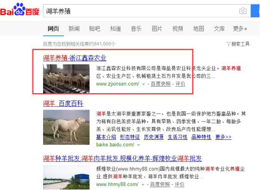 湖羊养殖关键词seo优化案例